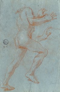 Studio di un nudo maschile